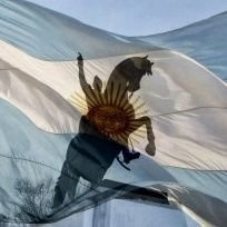 huevocat1975's profile picture. 