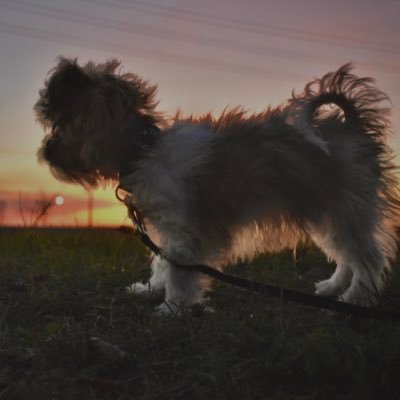 duhdarsh's profile picture. Nurse Darshika at yo' service