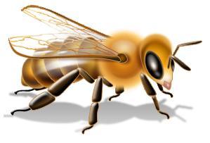 whatisthebuzz's profile picture. This is a group from @newtechhigh. This account should help you understand the importance of the bees in our daily life