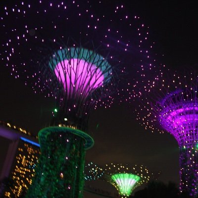 Dreazie's profile picture. 