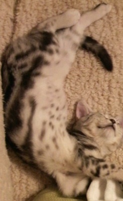 soccer_No04's profile picture. 