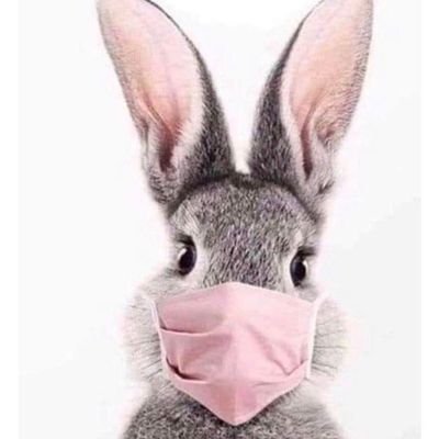 sandimartel's profile picture. Trabajando duro tratando de avazar... en un país que lucha contra la corrupción 🇵🇪