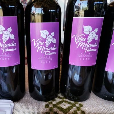 Viña de Vinos familiar y Agro ecológicos , ubicados en Tabunco comuna de Curepto, Cuenca del Huenchullami
#vinonatural #vinovivo #secanocostero #vinodeautor