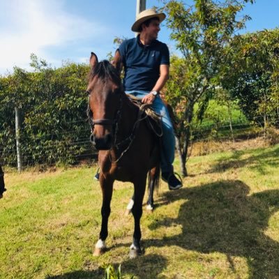 Católico, esposo, padre de 3 hijos (por ahora), manager, especialista en HR.