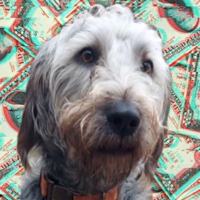 bindibtc's profile picture. 