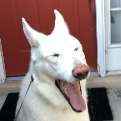 Toshi47477001's profile picture. 