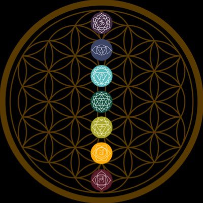 ⚡️Leveling up Mind, Body, Spirit + Bank Accounts as a Tribe 💎ALWAYS FREE To join our @Discord: 💚DM US