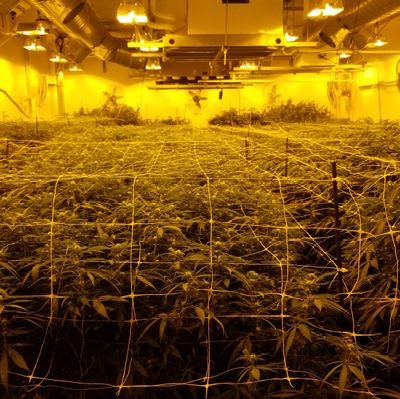 jgross420's profile picture. 