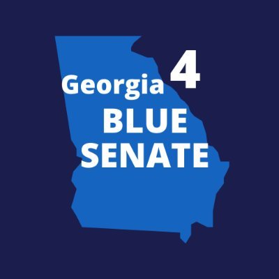 Georgia 4 Blue Senate