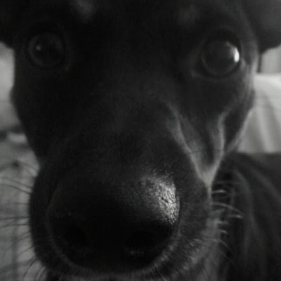 Citizen4Twenty's profile picture. 🇺🇸