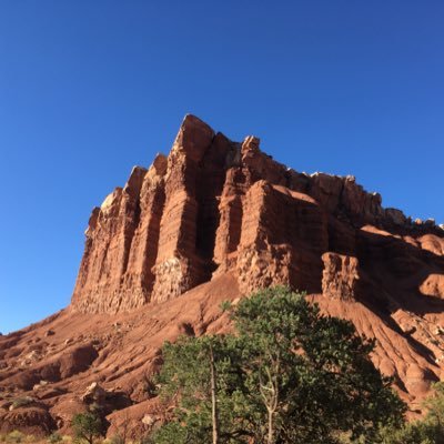 hikngrlbc's profile picture. 