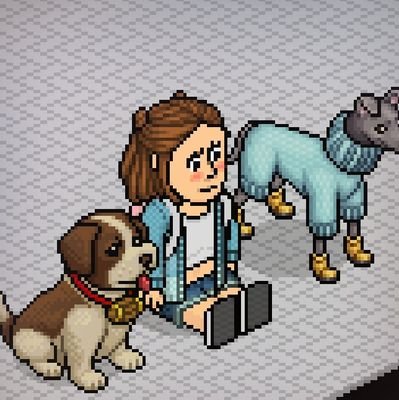 Luisi_HB's profile picture. 