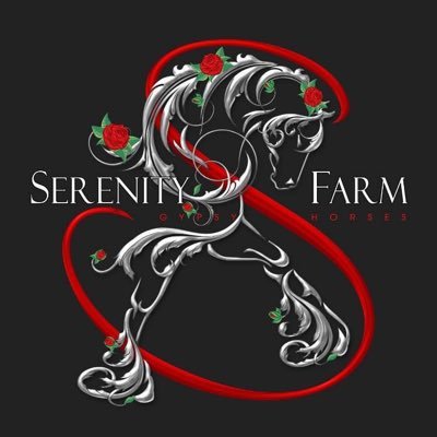 Gypsy Horse Breeder, Lessons, Sales, and more! | Facebook: SerenityFarm GypsyHorses | Instagram: sfgypsyhorses | Snapchat: sfgypsyhorses