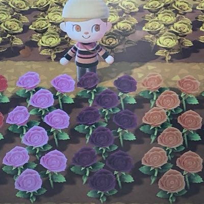 あつ森やってます。時間操作なし。