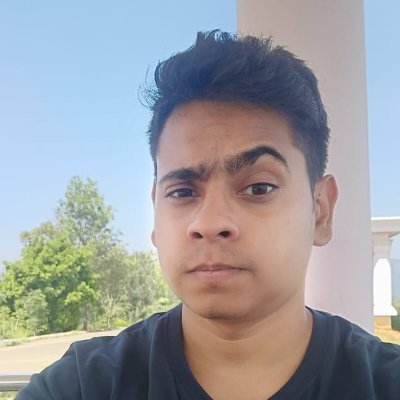 Software engineer @InVideoOfficial | Wrestling fan