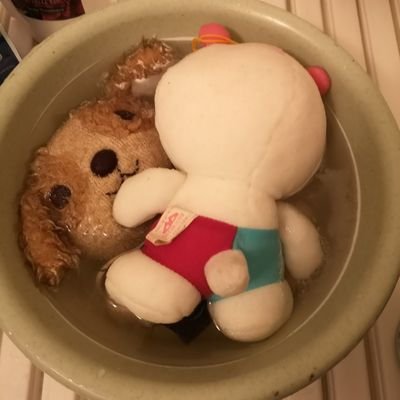 itadakimasen_'s profile picture. トロッコ問題の5人　頂（いただき）です。
それで良いのか