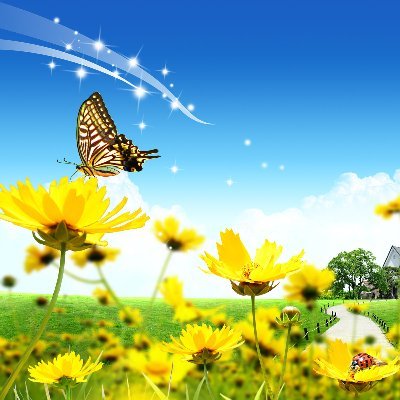 翩翩彩蝶en Twitter 青春是人生一个美好 辉煌的阶段 在青春的年华 我们不该诉说我们美好的梦想吗 每个人都有一个梦想 等待实现 梦想虽说美好 但不努力 就不能实现 翩翩彩蝶en Twitter 青春是人生一个美好 辉煌的阶段 在青春的年华 我们不该诉说我们美好的梦想吗 每个人都有一个梦想 等待实现 梦想虽说美好 但不努力 就不能实现