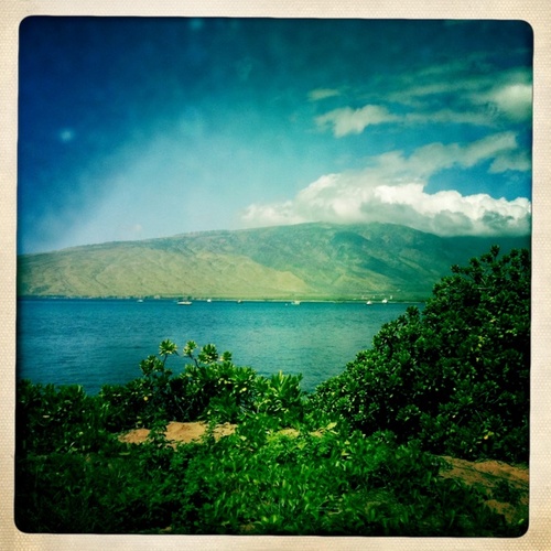 angryd1's profile picture. 