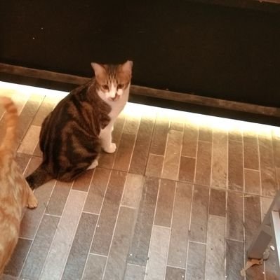 AriniBening's profile picture. 