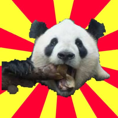 のサイさんのプロフィール画像