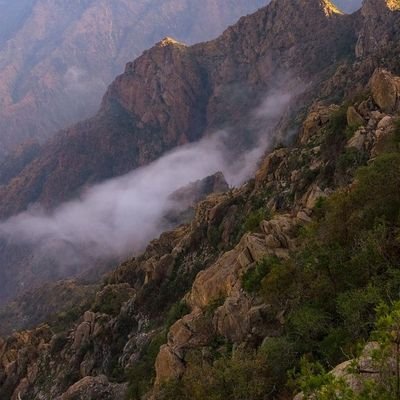 oman669's profile picture. ❕❕❕❕