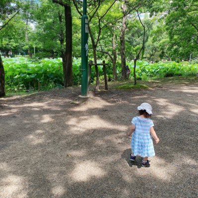 34歳のサラリーマンで2児のパパであります。今の会社に納得いかないことが多くて、公認会計士を目指しています。20年2月勉強開始。独学でしたが、23年6月からCPA通信生になりました。無言フォロー失礼します。