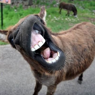 FiindxX's profile picture. 