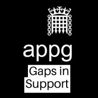 APPG Gaps in Support(@APPGGapsSupport) 's Twitter Profile Photo