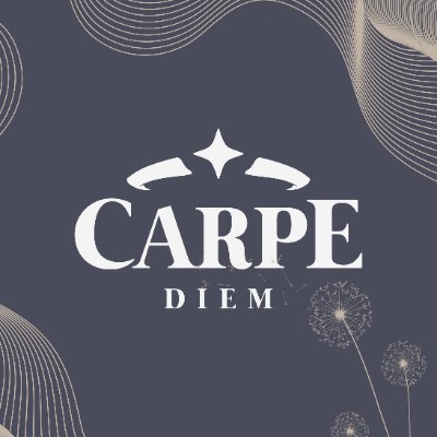 Carpe Diem Zine: WRAPPING UP!さんのプロフィール画像