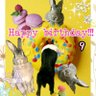 pokomaeyurinika's profile picture. 🐰ユリ♀9歳11ヶ月R3.10月30日にお月様へ🌙🐼ニカ♀10歳のニカは面白い事を日々やってくれます✨ 主は旅好き👜✨日本茶と茶器.特に常滑焼✨アコースティックギター3年目✨パラシュート部隊.矢野ぺぺ💕福岡芸人✨ Ｋ✨Nissy✨ケツメバカ✨AAA✨アイコンRabiさん作です😌