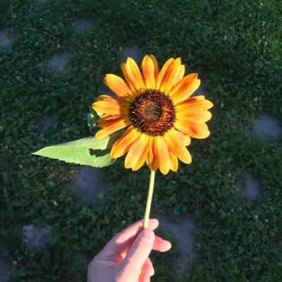 Blob_Iger's profile picture. Right now, I'm eating scrambled eggs, with a comb, from a shoe.