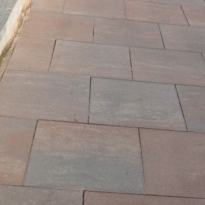 TransitamB's profile picture. 