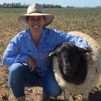 Lucy Watt (@lucywatt5) 's Twitter Profile Photo Lucy Watt (@lucywatt5) 's Twitter Profile Photo