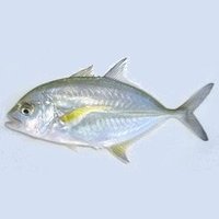 郁紀 (@onazuchi123) 's Twitter Profile Photo