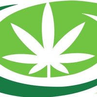 Legalise Cannabis WA Party (@lcwaparty) 's Twitter Profile