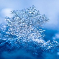 Come neve (@comeneve4) 's Twitter Profile
