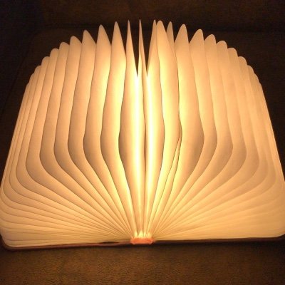 LazyReader5's profile picture. Her/She; Mother to a little monster in training
Loves to read 
Teratophilia Lover