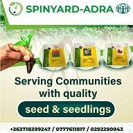 Spinyard Woodville Seedlings(@SpinyardS) 's Twitter Profile Photo