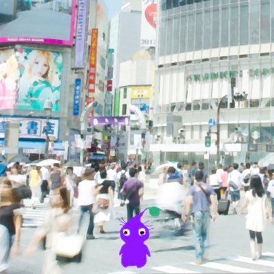 とらのぎさんのプロフィール画像