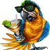 Spice Parrot (@spiceparrot) Twitter profile photo Spice Parrot (@spiceparrot) Twitter profile photo