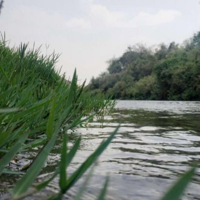 malzaher221's profile picture. ‏الصدق والصراحة ، قد لا تُكسبك الكثير من الناس ، لكن ستوفر لك أفضلهم رغم قلتهم.