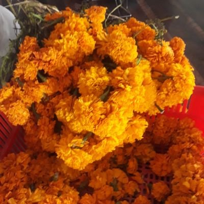 सके सपारौँ, नसके नबिगारौँ ;
दुःख गरेरै दुःख कटाऊन सकिन्छ।