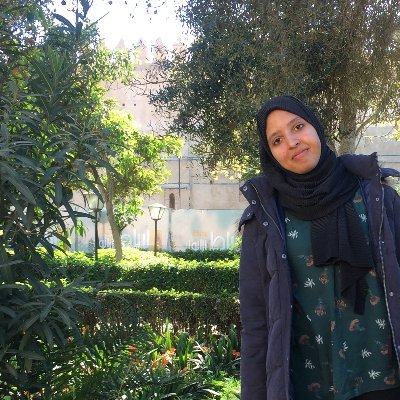 Salma_El_Anigri's profile picture. Ph.D. student. Natural Language Processing•Deep Learning.
#NLProc