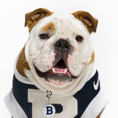 Hey Pals! I am Butler Blue IV, the Official Mascot for (@butleru).