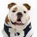 Butler Blue IV (@thebutlerblue) Twitter profile photo Butler Blue IV (@thebutlerblue) Twitter profile photo