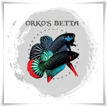 Beşiktaşk'lı
Orkos Betta
Aydın Kartalları