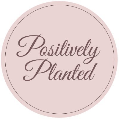 positiveplanted's profile picture. Guiding women to their purpose so that they can make an impact on the world 💕

Ready to ditch the doubt & insecurity? ⬇️