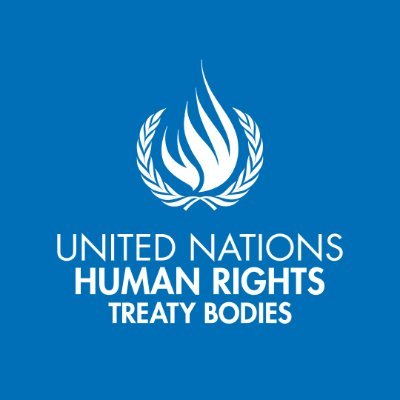 The Treaty Bodies are committees of independent experts that monitor implementation of the core international human rights treaties. #StandUp4HumanRights