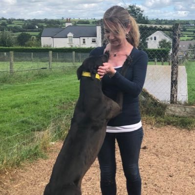 racingkennel's profile picture. 