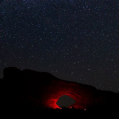 nvpscs's profile picture. 